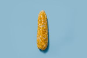 玉米外觀受到授粉時期的氣候影響。(示意圖/取自unsplash) ▲玉米外觀受到授粉時期的氣候影響。(示意圖/取自unsplash)
