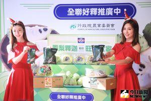 ▲全聯福利中心挺台灣優質水果與農委會合作推出外銷等級鳳梨釋迦在全台全聯通路販賣。（圖／記者葉政勳攝 , 2021.12.14）