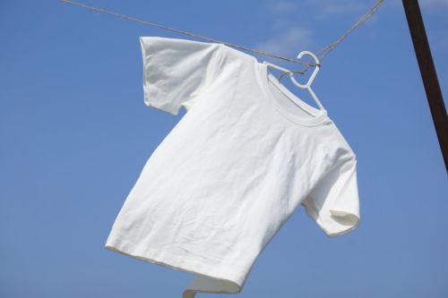 換季白T變黃救星！洗衣神器全聯就能買到「不到3元」還原白亮亮
