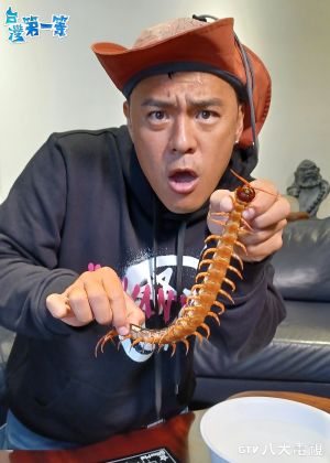竇智孔 ▲竇智孔不敢把巨形蜈蚣帶回家,怕丈母娘會翻臉。(圖/八大提供)