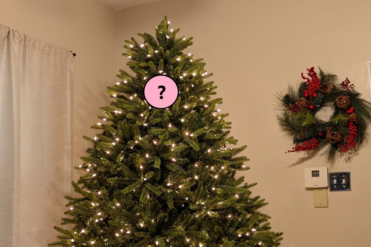 ▲國外一名女網友家的聖誕樹上，突然出現「黑毛裝飾」。（圖／FB帳號Richelle Fast）