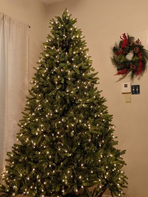 ▲女網友瑞秋日前裝飾好聖誕樹後，突然發現樹上有一雙眼睛，原來是自家黑貓「Twigget」！（圖／FB帳號Richelle Fast）