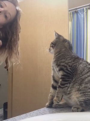 模仿大王!貓咪見飼主梳頭髮 竟「舉雙手摸頭」:我也會 ▲這天奴才正在浴室梳頭髮。(圖/翻攝自TikTok帳號misshmhm)