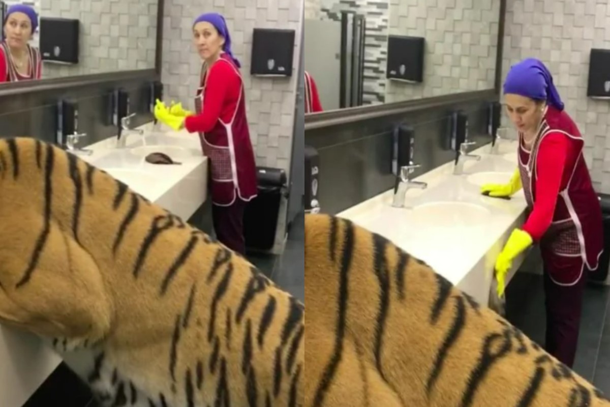 ▲俄羅斯一名清潔婦打早時遇見一隻老虎正在洗手台喝水，她的態度非常淡定。（圖／IG帳號Famichiki_angry）