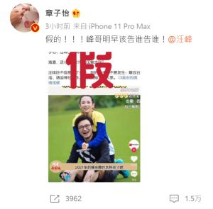 章子怡 ▲章子怡深夜發文,怒批黃安造謠。(圖/翻攝章子怡微博)
