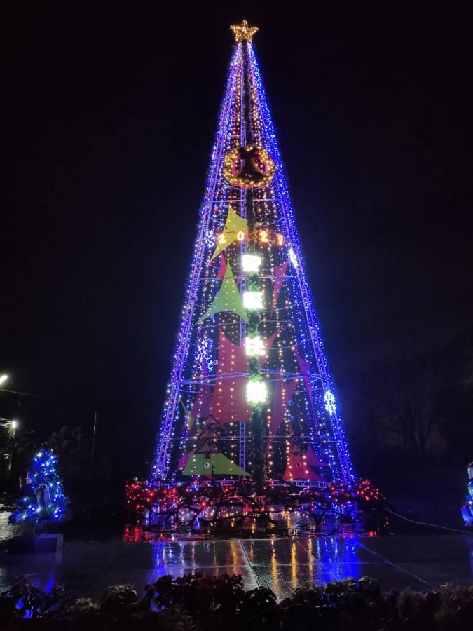 ▲台灣最高的聖誕樹在南投縣信義鄉，設置於海拔約1,000公尺高的羅娜部落。（圖／信義鄉公所提供）