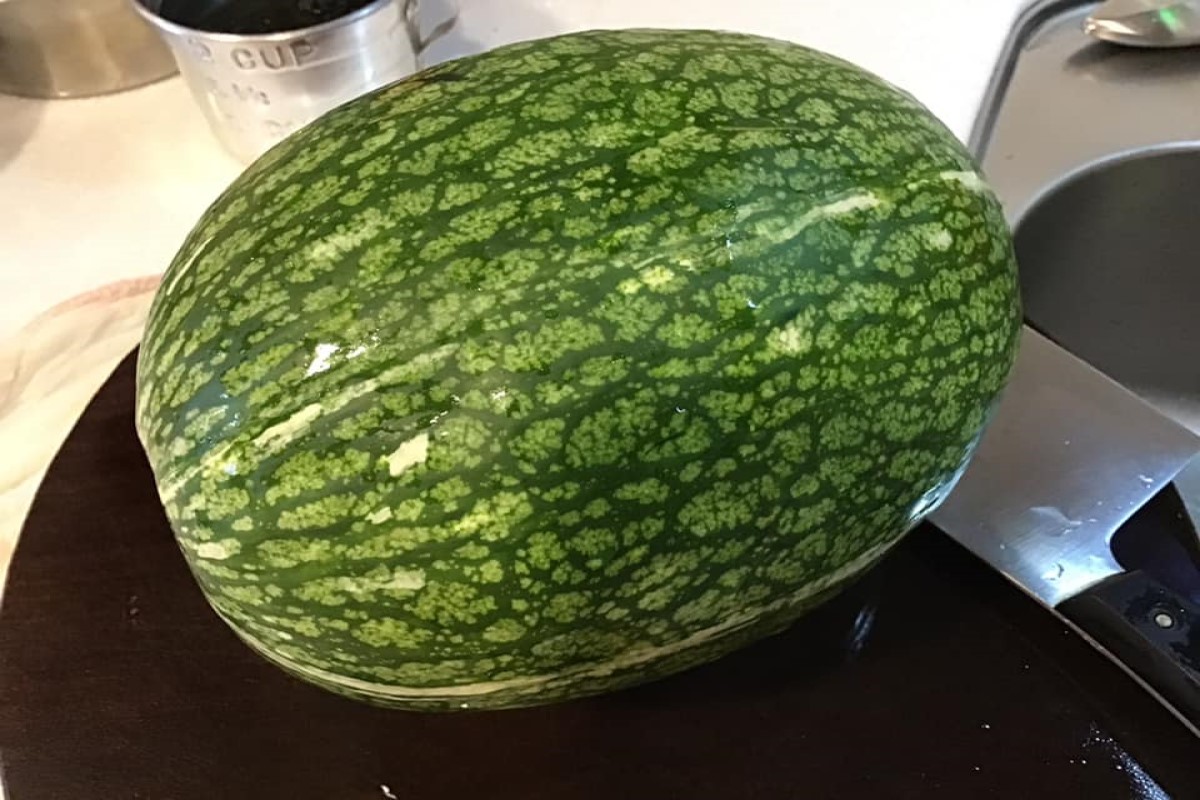 外表像西瓜口感如魚翅?她買罕見蔬菜 內行曝:這超好吃