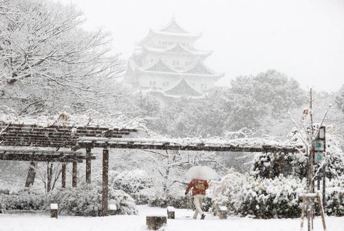 ▲受強烈寒流影響，日本多地持續下大雪，近畿北部降雪量創紀錄。圖為名古屋城。（圖／美聯社／達志影像）