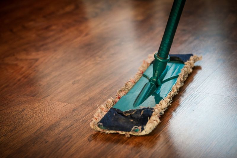 ▲大掃除時可以將拖地水加入除蟲精華，有效的防止害蟲在家出現。（示意圖／取自pixabay）