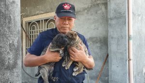 有2隻幼犬因失溫已淹死在大排中,另2隻幼犬則倖存獲救。(圖/台灣動物緊急救援小組授權提供) ▲有2隻幼犬因失溫已淹死在大排中,另2隻幼犬則倖存獲救。(圖/台灣動物緊急救援小組授權提供)