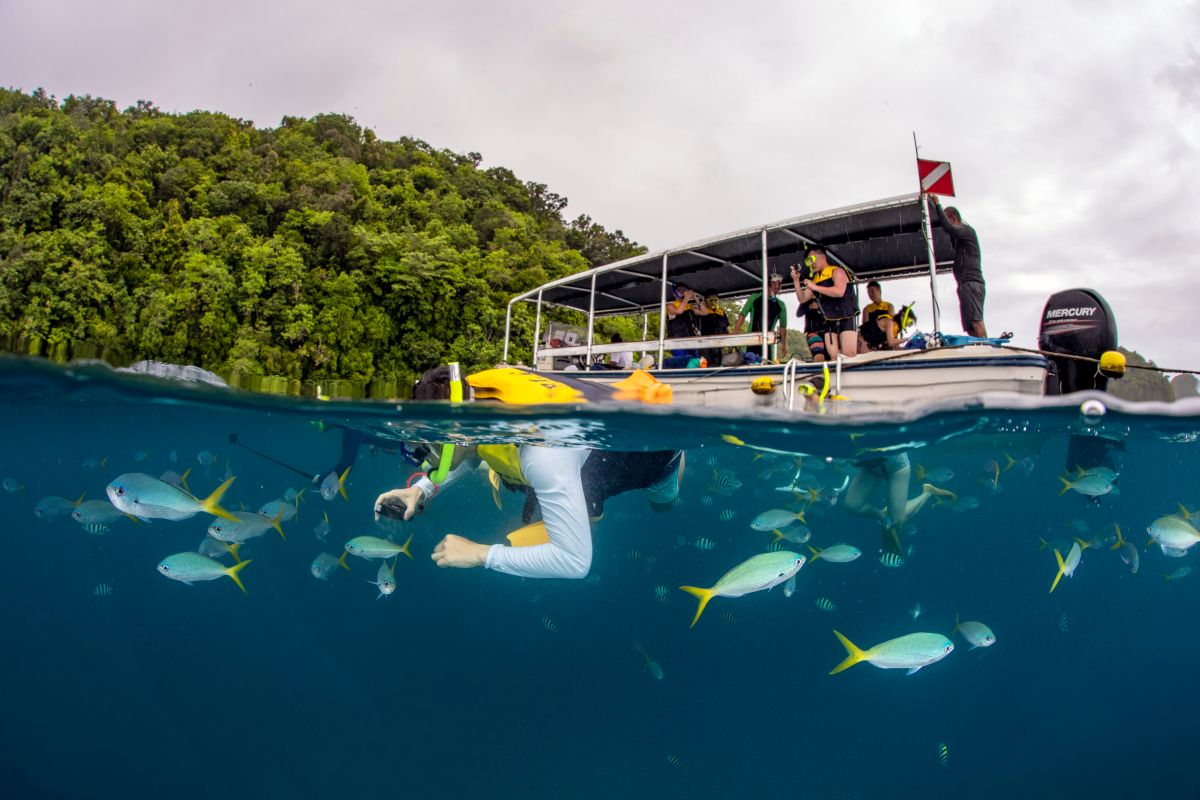 ▲帛琉被譽為「上帝的水族箱」，目前也是國外旅遊返台唯一不用隔離的國家，吸引不少民眾前往。（圖／KKday提供）