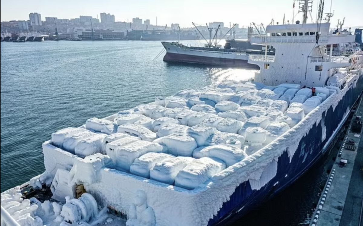 ▲數十輛豐田和本田汽車經由貨船運抵俄羅斯，車身結上一層厚厚的冰。（圖／翻攝自每日郵報）