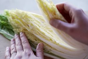 這名菜農「マノマノ」在日本長野縣信州山區經營有機農場,不時都會在推特上分享各種蔬菜以及烹煮的小知識。由於冬天正值白菜豐收的季節,他特別呼籲民眾「白菜切開以後,請一定要從最內側開始吃」,因為從內往外食用不僅能將養份留在白菜葉的最外層,如此一來吃到最後仍然可以享受到白菜的新鮮感! ▲日本專業菜農「マノマノ」表示從白菜的內部往外食用,這樣從頭到尾都能吃到新鮮以及美味!(圖/推特帳號manomano_farm)