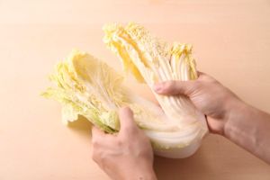 白菜怎麼吃才對?日農建議「先煮這裡」:營養保留還更鮮 ▲日本料理作家「樋口直哉」也曾經表示大白菜收割後,外側葉子會持續向內部輸送營養,因此最好從內部先吃,剩餘的用保鮮膜包起來放置冰箱冷藏。(圖/推特帳號naoya_foodlab)
