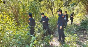 南投埔里臥龍洞。(圖/翻攝畫面) ▲南投埔里臥龍洞。(圖/翻攝畫面)