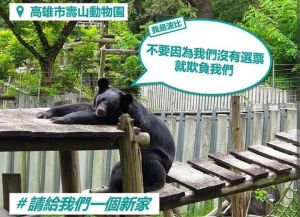 ▲黃文益呼籲藍營議員，停止抹黑。並加入認養動物園的行列，不要進行政治惡鬥，杯葛動物園的改革。請不要讓動物看笑話。（圖／截自市議員黃文益臉書）