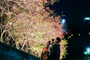 ▲樂活夜櫻季。(圖/北市公園處提供) ▲樂活夜櫻季。(圖/北市公園處提供)