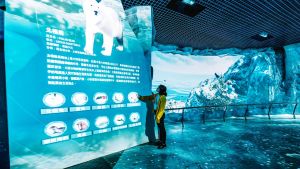 ▲北極與南極區利用展區中的冰岩場景結合沉浸式環景互動投影，打造沉浸式劇場、互動體驗、觸控互動牆等多元展示。（圖／屏東海生館提供）