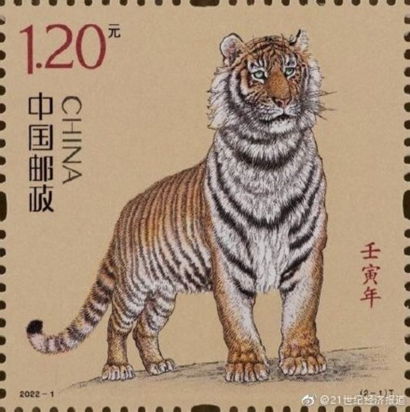 ▲中國郵政虎年生肖郵票,也曾被吐槽郵票上的老虎一點也不威武,猶如病貓。(圖/翻攝自微博)