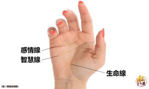 ▲手部紋路代表在命理所代表的意義。（圖／旺好運）