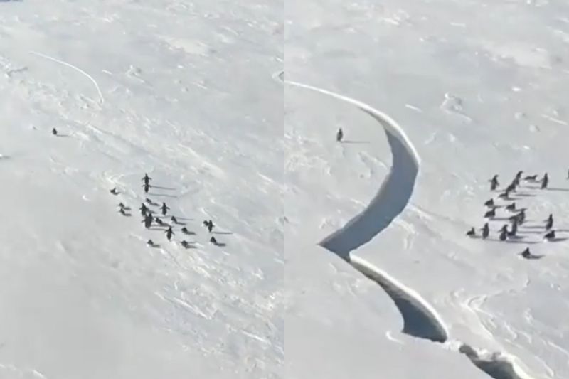 ▲左圖左上方的黑點就是跑得很快的小企鵝，下一秒腳下的冰層突然碎裂。（圖／Instagram：derik_munson）