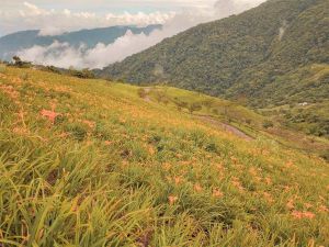 ▲原PO也安排行程到知名景點金針山,卻被父母吐槽「跑深山看金針花」。(圖/翻攝爆怨公社) ▲原PO也安排行程到知名景點金針山,卻被父母吐槽「跑深山看金針花」。(圖/翻攝爆怨公社)