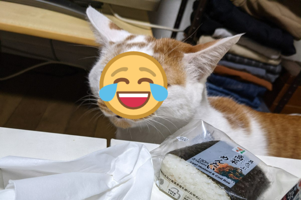 ▲橘白貓發現桌上有食物，眼神哀怨地直盯著。（圖／twitter帳號tatatano129）