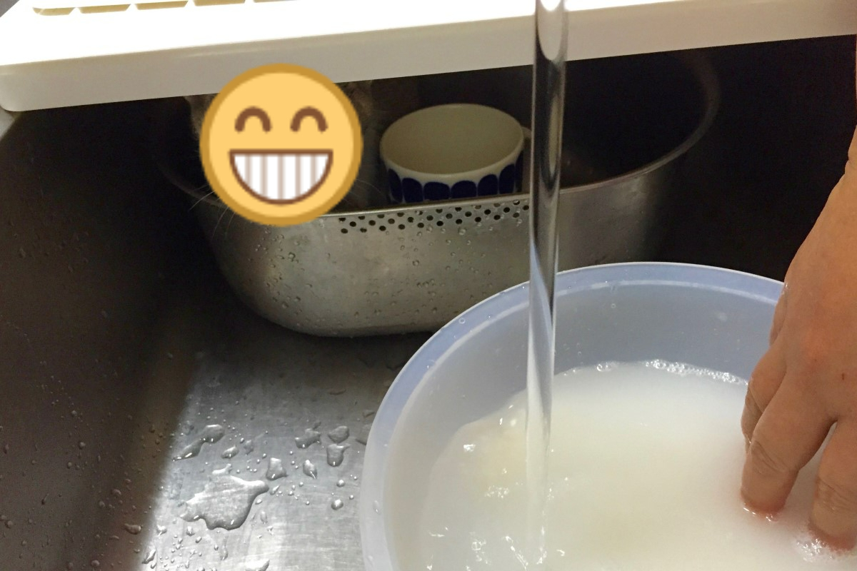 ▲日本一名推主在廚房洗米時，驚見水槽裡有「小毛怪」！（圖／twitter帳號moto_n）