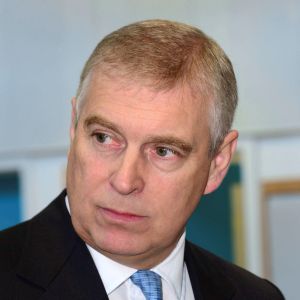 弄亂就吼叫！安德魯王子愛絨毛玩偶　連擺放位置都講究
