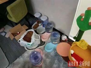 ▲在官方協助下，3隻貓咪的飲水和糧食都已補充完畢。（圖／翻攝自極目新聞）