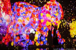 ▲《teamLab 未來遊樂園＆與花共生的動物們》展覽。（圖／Klook提供）