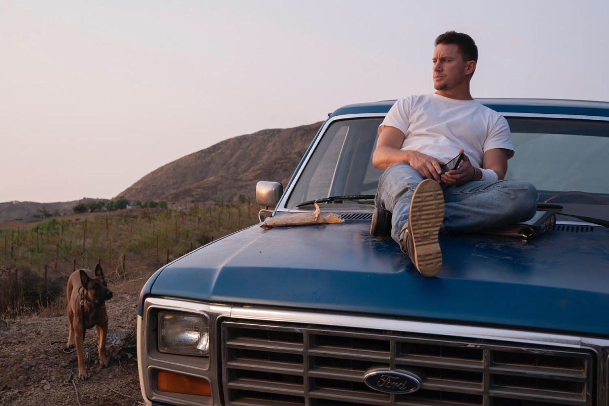 ▲查寧塔圖(Channing Tatum)戲裡戲外都是狗奴。(圖/CATCHPLAY提供)