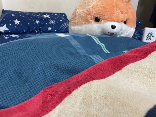 寒流「三明治蓋被法」爆紅！3層封鎖體溫太猛　醫認證：暖到天亮
