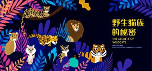 臺北市立動物園從1月22日推出「野生貓族的秘密 The Secrets of Wildcats」活動賀新年!(圖/臺北市立動物園授權提供) ▲臺北市立動物園從1月22日推出「野生貓族的秘密 The Secrets of Wildcats」活動賀新年!(圖/臺北市立動物園授權提供)