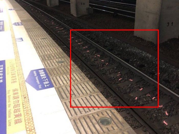 ▲近日一名網友在火車站月台赫然發現鐵軌上竟然散落數個不明的紅色物體，由於外形獨特，乍看之下像是一張張碎紙。（圖/Dcard）