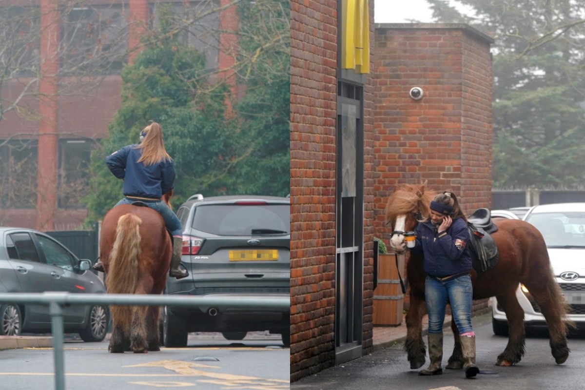 ▲英國赫特福德郡的一間麥當勞得來速日前有一名女顧客騎馬來購餐。（圖／twitter帳號HertsMercury）