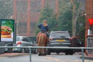 ▲英國一名女子日前騎著一匹小馬，在麥當勞得來速車道上排隊。（圖／twitter帳號HertsMercury）