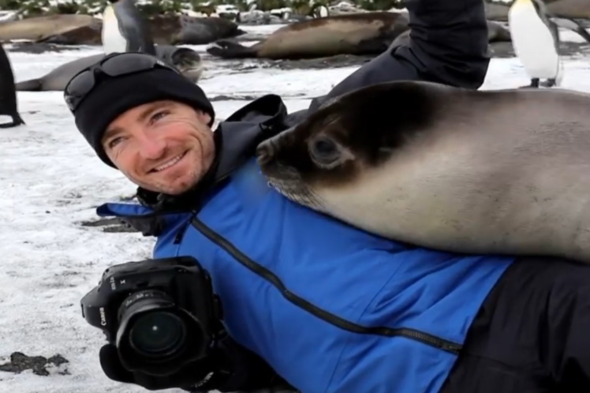 ▲澳洲一對攝影師夫婦到南美一座島嶼進行野生動物拍攝時，被一隻小海豹壓住身體「狂蹭取暖」。（圖／IG帳號chrisbrayphotography）