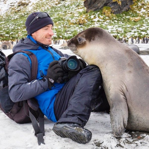 ▲克里斯與妻子到喬治亞島拍攝企鵝時，遇見一隻小海豹主動前來蹭蹭。（圖／IG帳號chrisbrayphotography）