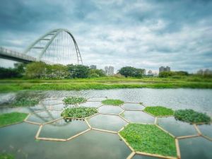 ▲新海人工濕地位於新月橋板橋端。（圖／新北市政府高灘處提供）