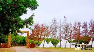 豪華露營超享受！大地為床、星空為幕　擁抱大自然秒上手
