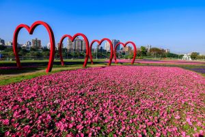 ▲古亭河濱花海提供愛心拱門可拍照打卡。(圖/北市工務局提供) ▲古亭河濱花海提供愛心拱門可拍照打卡。(圖/北市工務局提供)