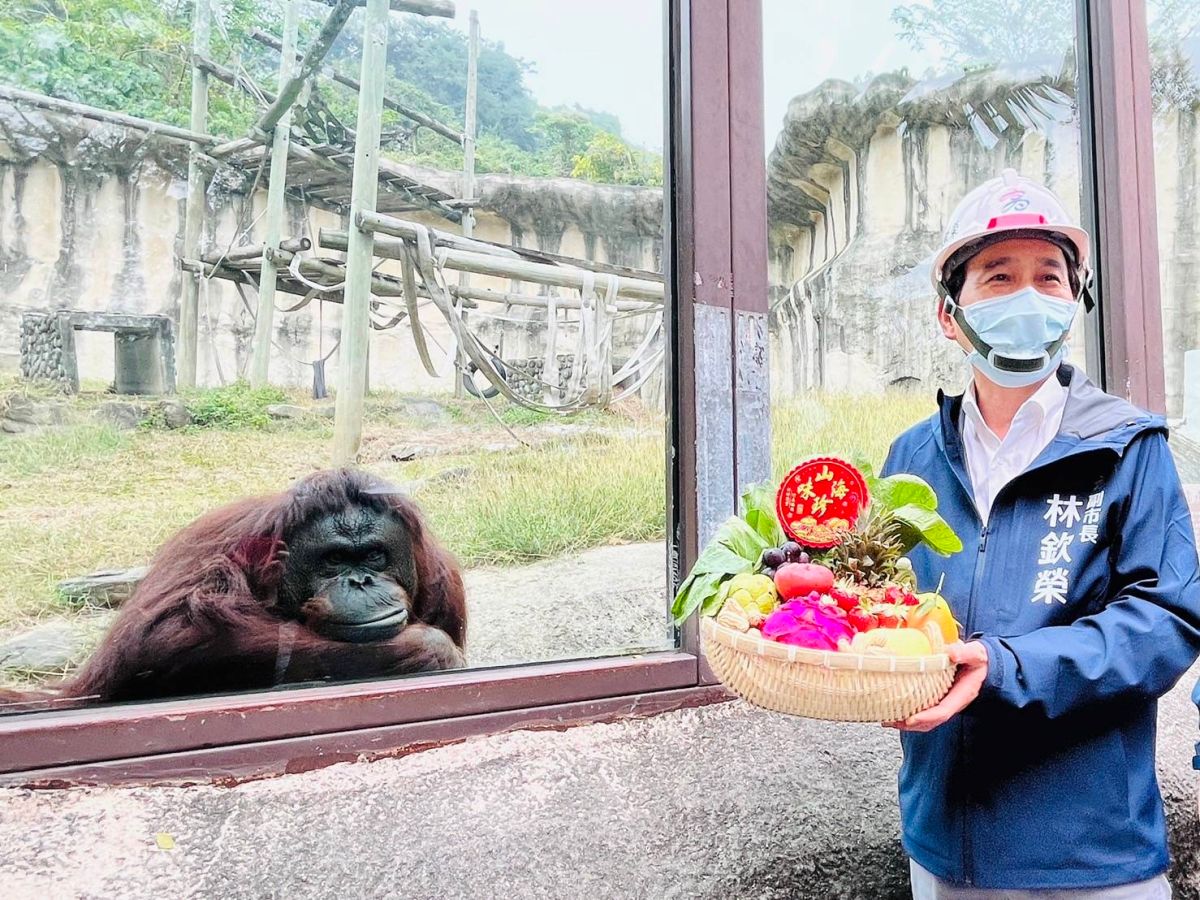 壽山動物園整建進度超前　林欽榮幫動物加菜過好年
