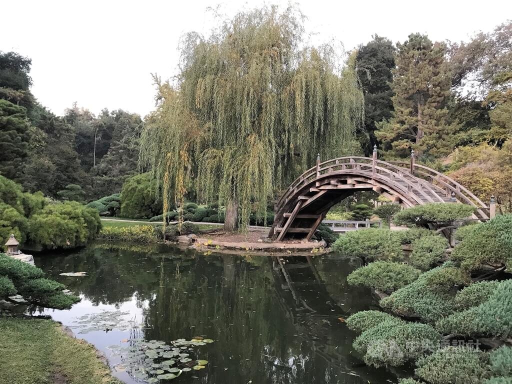 ▲洛杉磯近郊的杭亭頓圖書館（Huntington Library）有一處近百年歷史的日本花園。中央社記者林宏翰洛杉磯攝 111年1月31日
