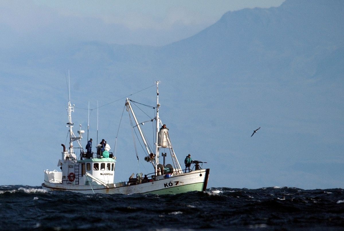 鯨肉需求降賞鯨觀光夯　冰島2024年起禁商業捕鯨
