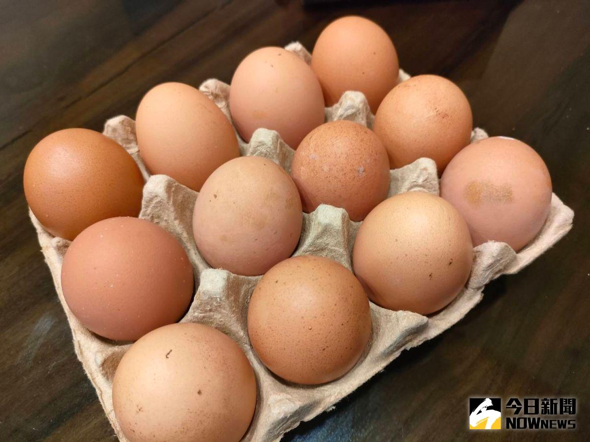 苦苓號召全民2周不吃蛋！自己的雞蛋自己救　網反應兩極
