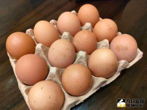 農委會坦言「有缺一點點」　每日雞蛋還少20萬至30萬顆
