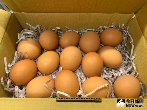 雞蛋產地價再跌2元！連3週調降　北市蛋商公會無奈：剩很多
