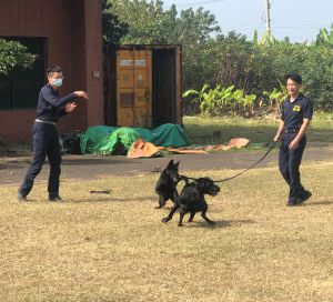 ▲內政部警政署保安警察第3總隊警犬分隊積極加強警犬訓練工作。(圖／記者黃守作攝，2022.02.08)