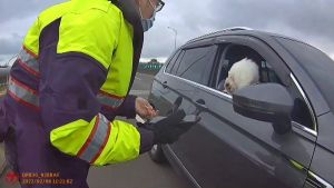 ▲一位開車經過的民眾見到警方在高架道上誘捕小黑，也停下車來熱心地提供員警寵物零食、寵物牽繩等道具。（圖／蘆竹分局提供）